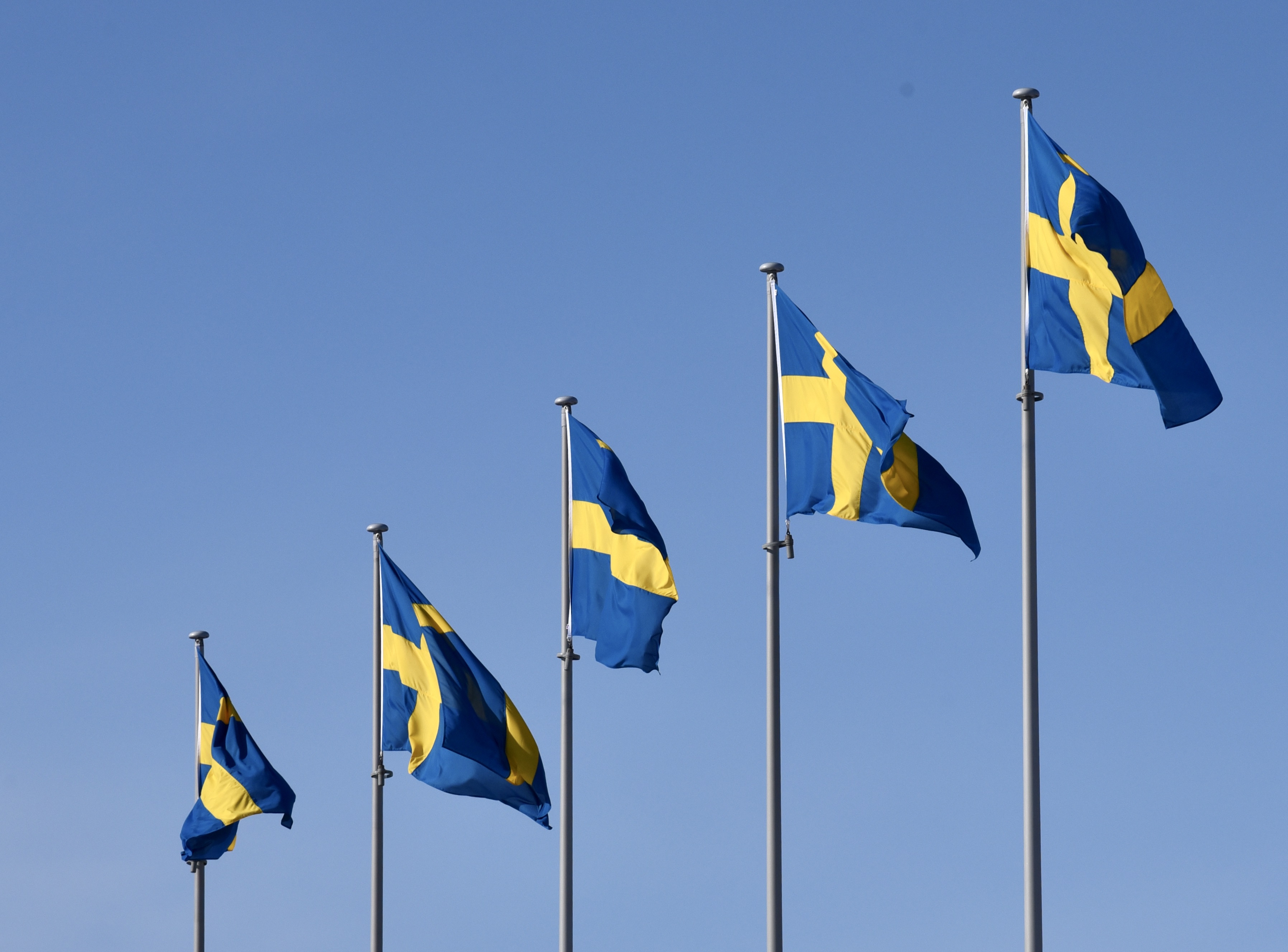 Svenska flaggan x 5